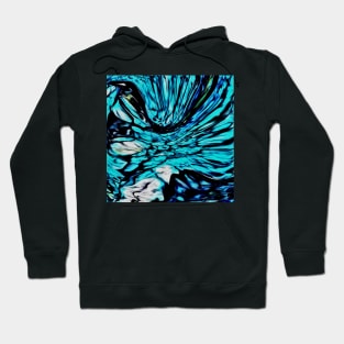 Stocksom Bird Bath Hoodie